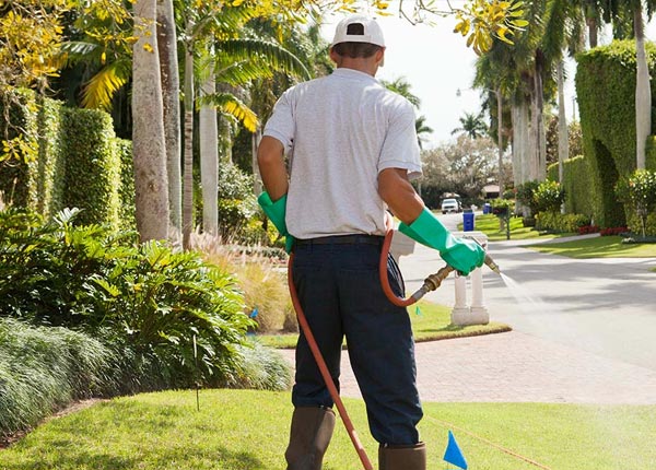 About Lansing IL Pest Control